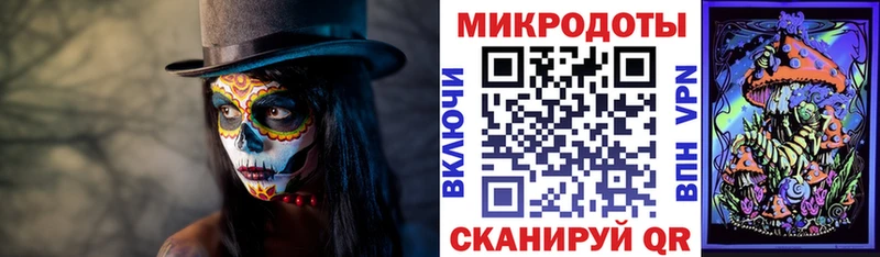 где найти наркотики  Ростов-на-Дону  Псилоцибиновые грибы мухоморы 